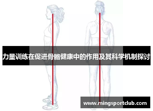 力量训练在促进骨骼健康中的作用及其科学机制探讨