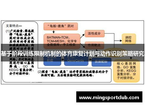 基于阶段训练限制机制的体育康复计划与动作识别策略研究